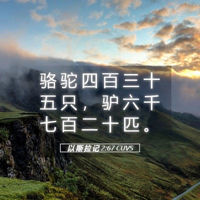 Picture 05 - 以 斯 拉 记 2:67 CUVS - 骆 驼 四 百 三 十 五 只 ， 驴 六 千 - Bible Verse Picture