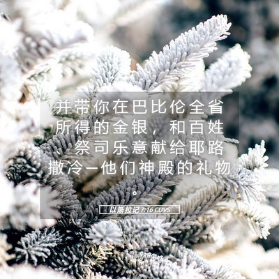 Picture 05 - 以 斯 拉 记 7:16 CUVS - 并 带 你 在 巴 比 伦 全 省 所 得 的 - Bible Verse Picture