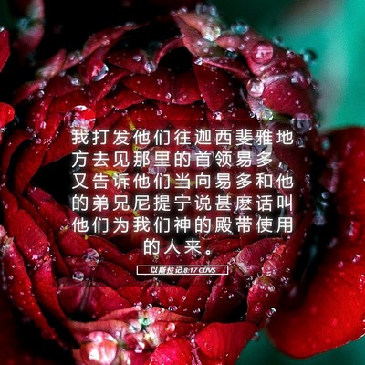Picture 05 - 以 斯 拉 记 8:17 CUVS - 我 打 发 他 们 往 迦 西 斐 雅 地 方 - Bible Verse Picture