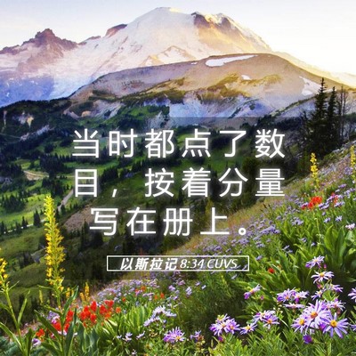 Picture 05 - 以 斯 拉 记 8:34 CUVS - 当 时 都 点 了 数 目 ， 按 着 分 量 - Bible Verse Picture