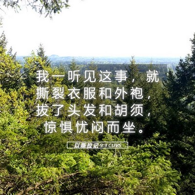 Picture 05 - 以 斯 拉 记 9:3 CUVS - 我 一 听 见 这 事 ， 就 撕 裂 衣 服 - Bible Verse Picture