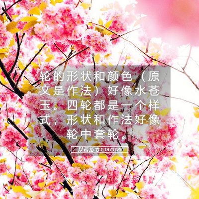 Picture 05 - 以 西 结 书 1:16 CUVS - 轮 的 形 状 和 颜 色 （ 原 文 是 作 - Bible Verse Picture
