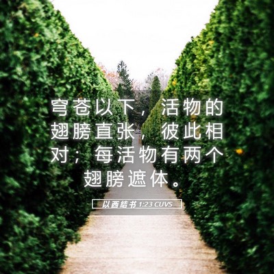 Picture 05 - 以 西 结 书 1:23 CUVS - 穹 苍 以 下 ， 活 物 的 翅 膀 直 张 - Bible Verse Picture
