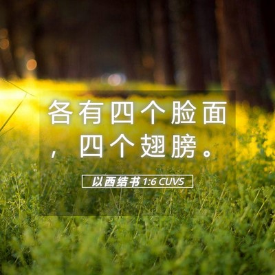 Picture 05 - 以 西 结 书 1:6 CUVS - 各 有 四 个 脸 面 ， 四 个 翅 膀 - Bible Verse Picture