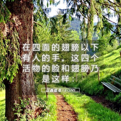 Picture 05 - 以 西 结 书 1:8 CUVS - 在 四 面 的 翅 膀 以 下 有 人 的 手 - Bible Verse Picture