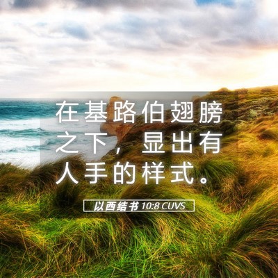 Picture 05 - 以 西 结 书 10:8 CUVS - 在 基 路 伯 翅 膀 之 下 ， 显 出 有 - Bible Verse Picture