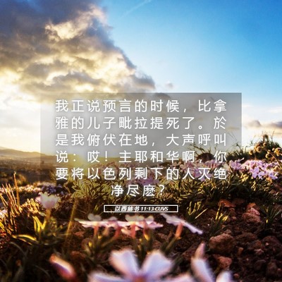 Picture 05 - 以 西 结 书 11:13 CUVS - 我 正 说 预 言 的 时 候 ， 比 拿 雅 - Bible Verse Picture