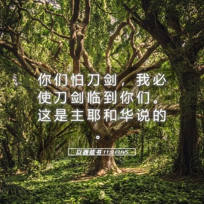 Picture 05 - 以 西 结 书 11:8 CUVS - 你 们 怕 刀 剑 ， 我 必 使 刀 剑 临 - Bible Verse Picture