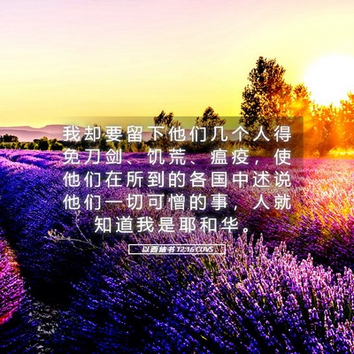 Picture 05 - 以 西 结 书 12:16 CUVS - 我 却 要 留 下 他 们 几 个 人 得 免 - Bible Verse Picture