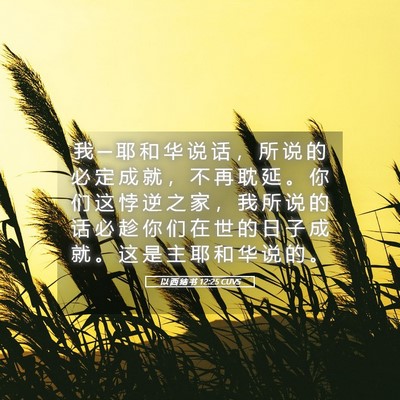 Picture 05 - 以 西 结 书 12:25 CUVS - 我 ─ 耶 和 华 说 话 ， 所 说 的 必 - Bible Verse Picture