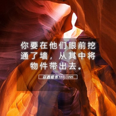 Picture 05 - 以 西 结 书 12:5 CUVS - 你 要 在 他 们 眼 前 挖 通 了 墙 ， - Bible Verse Picture