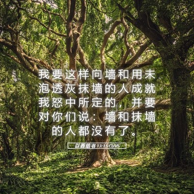 Picture 05 - 以 西 结 书 13:15 CUVS - 我 要 这 样 向 墙 和 用 未 泡 透 灰 - Bible Verse Picture
