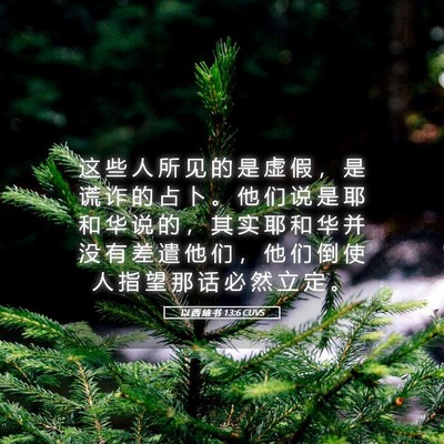 Picture 05 - 以 西 结 书 13:6 CUVS - 这 些 人 所 见 的 是 虚 假 ， 是 谎 - Bible Verse Picture