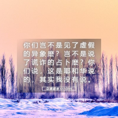 Picture 05 - 以 西 结 书 13:7 CUVS - 你 们 岂 不 是 见 了 虚 假 的 异 象 - Bible Verse Picture