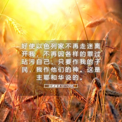 Picture 05 - 以 西 结 书 14:11 CUVS - 好 使 以 色 列 家 不 再 走 迷 离 开 - Bible Verse Picture