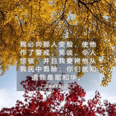 Picture 05 - 以 西 结 书 14:8 CUVS - 我 必 向 那 人 变 脸 ， 使 他 作 了 - Bible Verse Picture