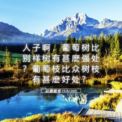 Picture 05 - 以 西 结 书 15:2 CUVS - 人 子 啊 ， 葡 萄 树 比 别 样 树 有 - Bible Verse Picture