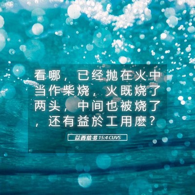 Picture 05 - 以 西 结 书 15:4 CUVS - 看 哪 ， 已 经 抛 在 火 中 当 作 柴 - Bible Verse Picture