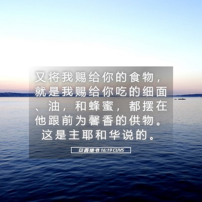 Picture 05 - 以 西 结 书 16:19 CUVS - 又 将 我 赐 给 你 的 食 物 ， 就 是 - Bible Verse Picture