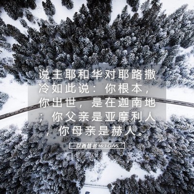 Picture 05 - 以 西 结 书 16:3 CUVS - 说 主 耶 和 华 对 耶 路 撒 冷 如 此 - Bible Verse Picture