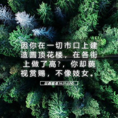 Picture 05 - 以 西 结 书 16:31 CUVS - 因 你 在 一 切 市 口 上 建 造 圆 顶 - Bible Verse Picture
