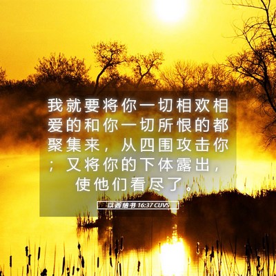 Picture 05 - 以 西 结 书 16:37 CUVS - 我 就 要 将 你 一 切 相 欢 相 爱 的 - Bible Verse Picture