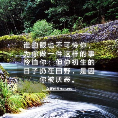 Picture 05 - 以 西 结 书 16:5 CUVS - 谁 的 眼 也 不 可 怜 你 ， 为 你 做 - Bible Verse Picture