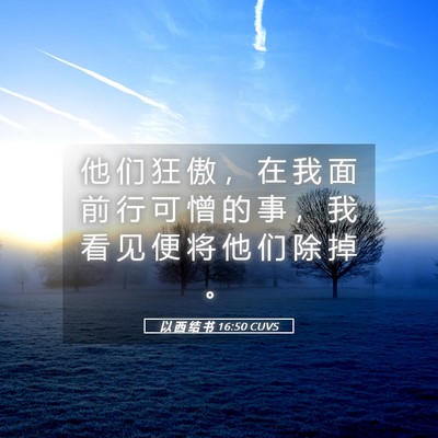 Picture 05 - 以 西 结 书 16:50 CUVS - 他 们 狂 傲 ， 在 我 面 前 行 可 憎 - Bible Verse Picture