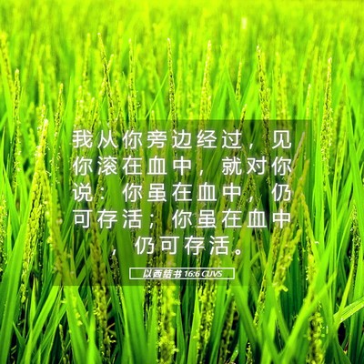 Picture 05 - 以 西 结 书 16:6 CUVS - 我 从 你 旁 边 经 过 ， 见 你 滚 在 - Bible Verse Picture