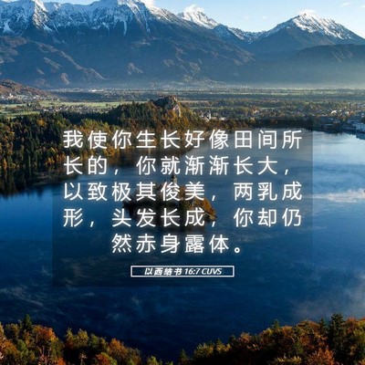 Picture 05 - 以 西 结 书 16:7 CUVS - 我 使 你 生 长 好 像 田 间 所 长 的 - Bible Verse Picture