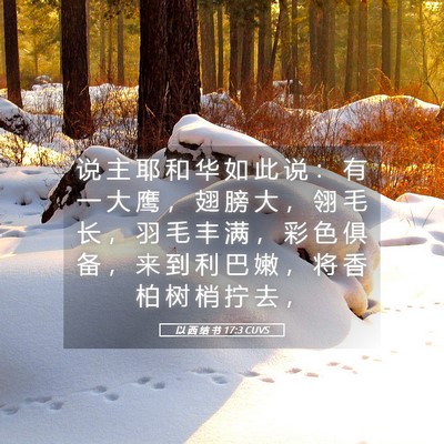 Picture 05 - 以 西 结 书 17:3 CUVS - 说 主 耶 和 华 如 此 说 ： 有 一 大 - Bible Verse Picture