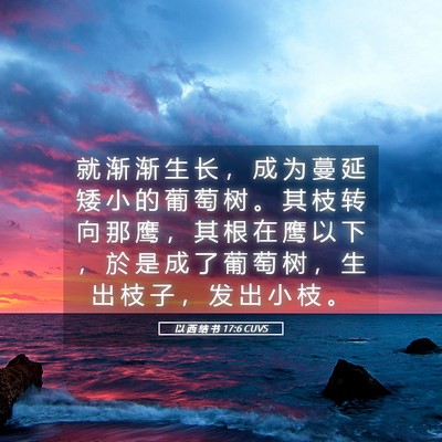 Picture 05 - 以 西 结 书 17:6 CUVS - 就 渐 渐 生 长 ， 成 为 蔓 延 矮 小 - Bible Verse Picture