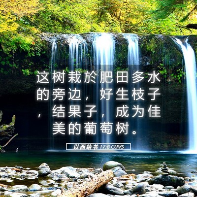 Picture 05 - 以 西 结 书 17:8 CUVS - 这 树 栽 於 肥 田 多 水 的 旁 边 ， - Bible Verse Picture