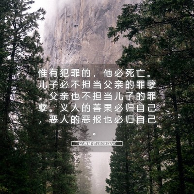 Picture 05 - 以 西 结 书 18:20 CUVS - 惟 有 犯 罪 的 ， 他 必 死 亡 。 儿 - Bible Verse Picture