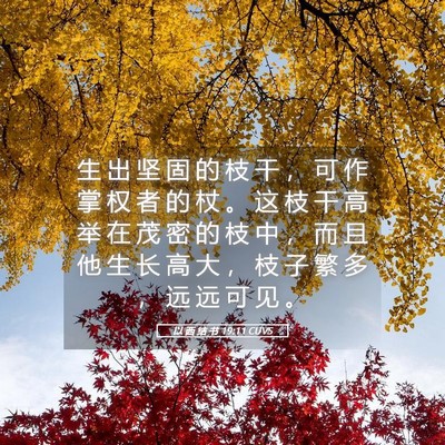 Picture 05 - 以 西 结 书 19:11 CUVS - 生 出 坚 固 的 枝 干 ， 可 作 掌 权 - Bible Verse Picture