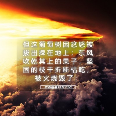 Picture 05 - 以 西 结 书 19:12 CUVS - 但 这 葡 萄 树 因 忿 怒 被 拔 出 摔 - Bible Verse Picture