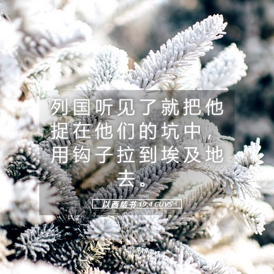 Picture 05 - 以 西 结 书 19:4 CUVS - 列 国 听 见 了 就 把 他 捉 在 他 们 - Bible Verse Picture