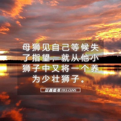 Picture 05 - 以 西 结 书 19:5 CUVS - 母 狮 见 自 己 等 候 失 了 指 望 ， - Bible Verse Picture
