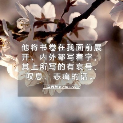 Picture 05 - 以 西 结 书 2:10 CUVS - 他 将 书 卷 在 我 面 前 展 开 ， 内 - Bible Verse Picture