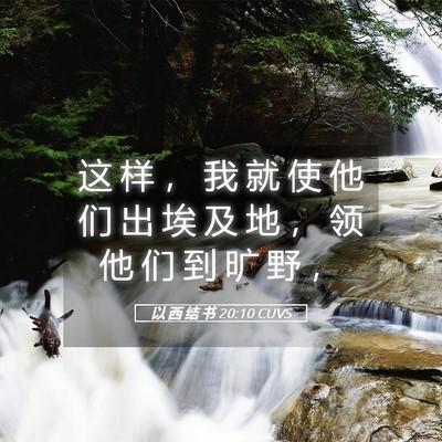Picture 05 - 以 西 结 书 20:10 CUVS - 这 样 ， 我 就 使 他 们 出 埃 及 地 - Bible Verse Picture
