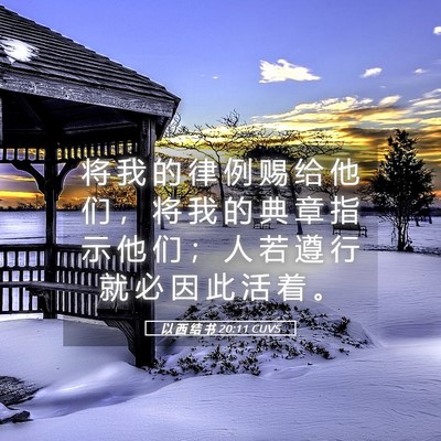 Picture 05 - 以 西 结 书 20:11 CUVS - 将 我 的 律 例 赐 给 他 们 ， 将 我 - Bible Verse Picture