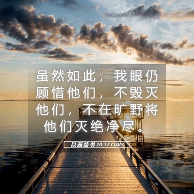 Picture 05 - 以 西 结 书 20:17 CUVS - 虽 然 如 此 ， 我 眼 仍 顾 惜 他 们 - Bible Verse Picture