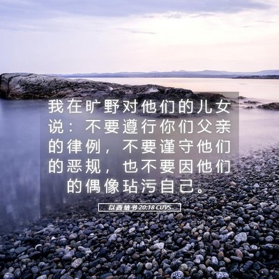 Picture 05 - 以 西 结 书 20:18 CUVS - 我 在 旷 野 对 他 们 的 儿 女 说 ： - Bible Verse Picture