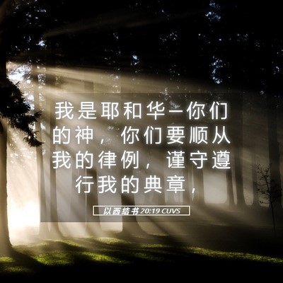Picture 05 - 以 西 结 书 20:19 CUVS - 我 是 耶 和 华 ─ 你 们 的 神 ， 你 - Bible Verse Picture