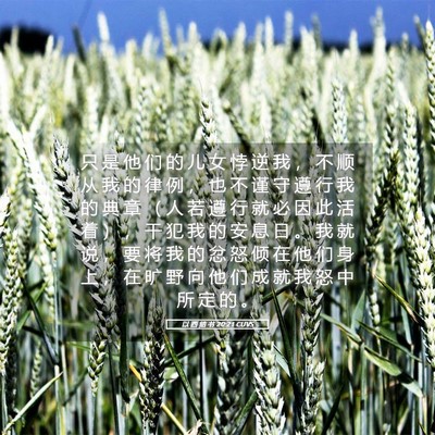 Picture 05 - 以 西 结 书 20:21 CUVS - 只 是 他 们 的 儿 女 悖 逆 我 ， 不 - Bible Verse Picture