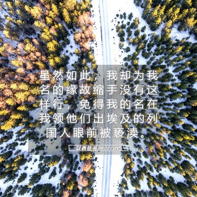 Picture 05 - 以 西 结 书 20:22 CUVS - 虽 然 如 此 ， 我 却 为 我 名 的 缘 - Bible Verse Picture