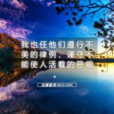 Picture 05 - 以 西 结 书 20:25 CUVS - 我 也 任 他 们 遵 行 不 美 的 律 例 - Bible Verse Picture