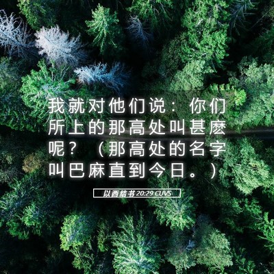 Picture 05 - 以 西 结 书 20:29 CUVS - 我 就 对 他 们 说 ： 你 们 所 上 的 - Bible Verse Picture