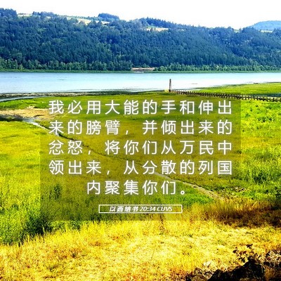 Picture 05 - 以 西 结 书 20:34 CUVS - 我 必 用 大 能 的 手 和 伸 出 来 的 - Bible Verse Picture