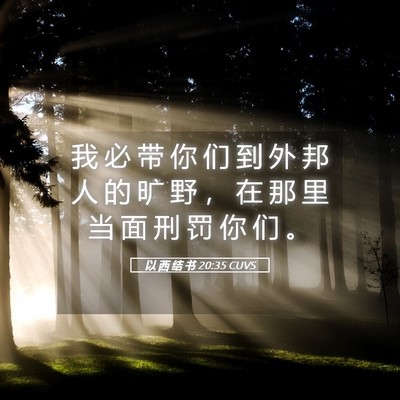 Picture 05 - 以 西 结 书 20:35 CUVS - 我 必 带 你 们 到 外 邦 人 的 旷 野 - Bible Verse Picture